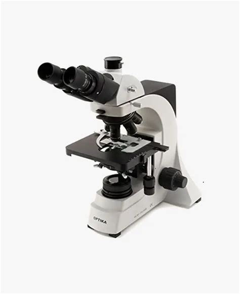 Image result for Microscope Optique