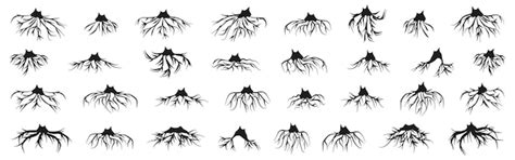 Коллекция силуэтов корней деревьев Набор силуэтов черных корней ...