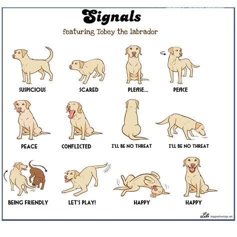 Dog Training Hand Signals Uk at Dominic Nanya blog
