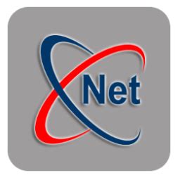 Image result for Net Element