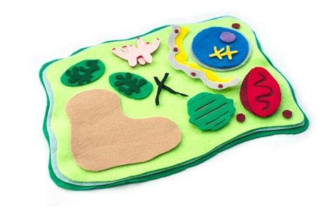 Cell Model 的图像结果