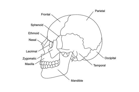 Image result for Example of Learning Program in School