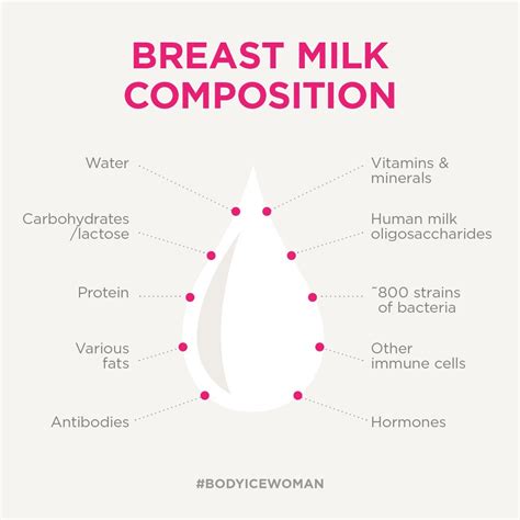 Understanding the Composition of Breast Milk
