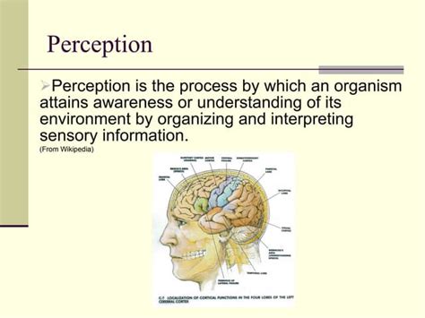Perception Communication 的图像结果
