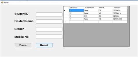 Image result for Custom DataGridView C