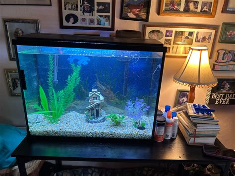 Just got a 37 gallon tank from a friend, I’m gonna make it fully ...