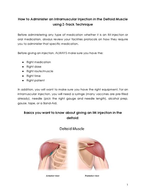 Intramuscular Injection 的图像结果