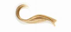 Hair Strands by Hair Testing More Than One Hair Dna Hair Strands