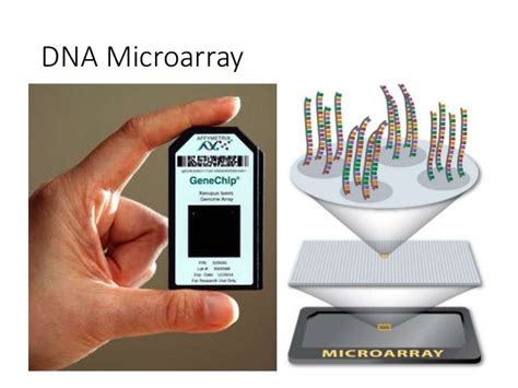 Microarray Machine 的图像结果