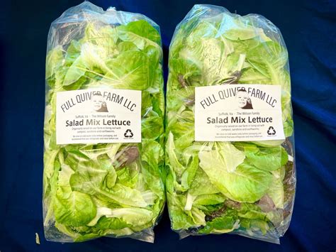 Salad Mix Lettuce (Large Bag) – Full Quiver Farm