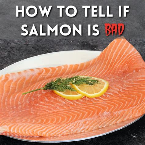 How To Tell if Salmon is Bad - The Foodie Physician