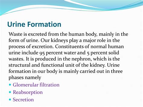 Urine-formation-ppt.pptx A powerpoint on the mechanism of urine production | PPTX