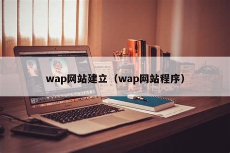 wap网站建立（wap网站程序）-维启网络