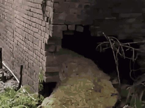Flood threat persists in Punjab; Ravi river rising in Amritsar and ...