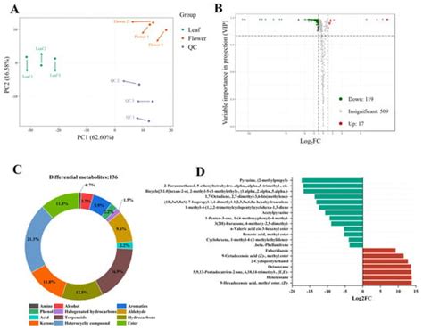 Widely Targeted Metabolomics and Network Pharmacology Reveal the ...