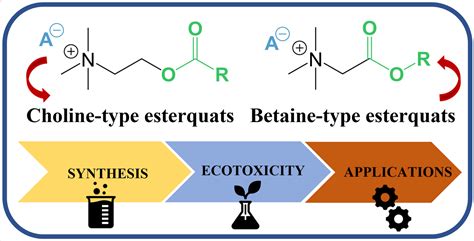 Rethinking the Esterquats: Synthesis, Stability, Ecotoxicity and ...