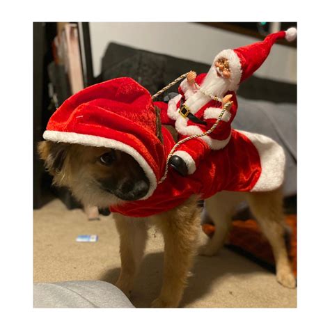 Pine Point Animal Hospital (@pinepointvet) • Instagram photos and videos