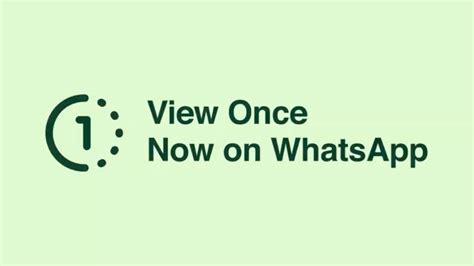 Tech Guide: What is the new View Once Text feature of WhatsApp and how ...