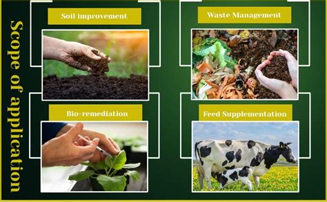 COIR GARDEN - Organic Vermicompost Fertilizer Manure For Plants as ...