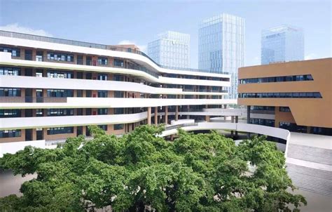 典范！广州南沙引入9所中外优质学校，提供学位超1.6万个 - 知乎