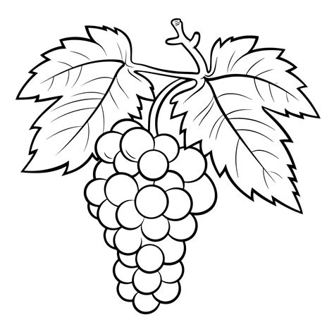 Sleek grape outline icon in vector format for fruit-themed designs. 42362925 Vector Art at Vecteezy