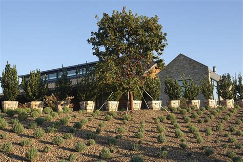 NJ IN LA | Indulging in Excellence: Dinner at Bear at Stanly Ranch, One ...