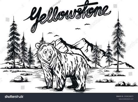 Yellowstone National Park Mountain Bear Pine Stock Vector (Royalty Free) 2529230875 | Shutterstock - sketch of yellowstone mountains