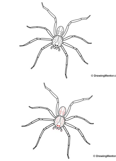 25 Easy Spider Drawing Ideas - How to Draw a Spider