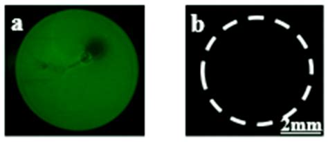 Aptamer-Based Gold Nanoparticles–PDMS Composite Stamps as a Platform ...
