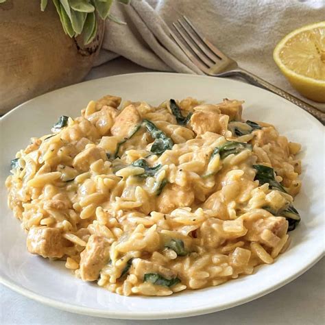 Creamy Chicken Orzo Bake, Tuscan Style (One-Pan) - Mallory the ...