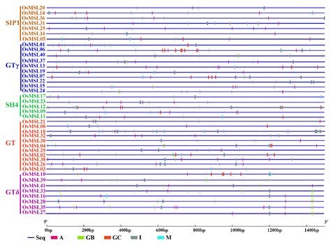 Genome-Wide Characterization and Identification of Trihelix ...