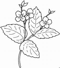 malvorlagen blumen blume klein bluete gross blatt ausmalbild malvorlage malvorlagen blumen blume klein bluete gross blatt ausmalbild malvorlage