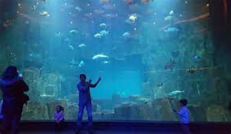 ACUARIO AMAZONAS, QUITO. (2026) All You Need to Know BEFORE You Go ...