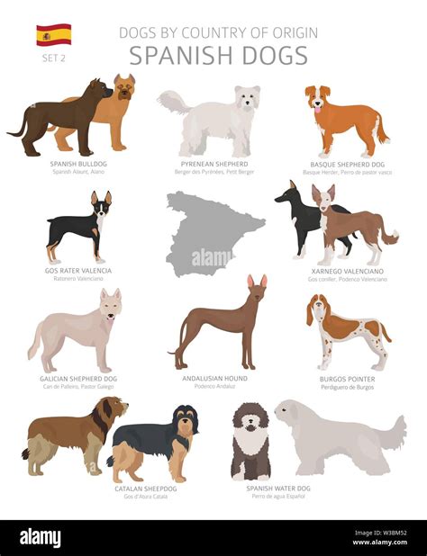 Dogs by country of origin. Spanish dog breeds. Shepherds, hunting ...