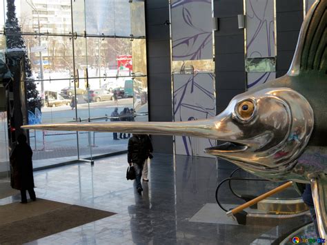 Fish with big nose free image - № 16549