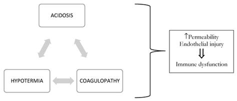 Severe Trauma-Induced Coagulopathy: Molecular Mechanisms Underlying ...