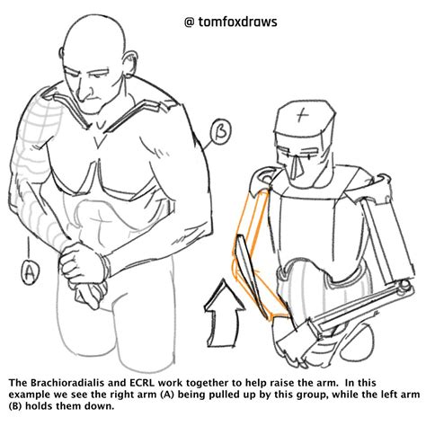 My Left Arm In French Duolingo at Troy Jenkins blog