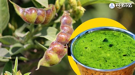 Vidarbha Special Recipe: गावरान तुरीच्या सोल्याची आमटी कशी तयार करायची ...