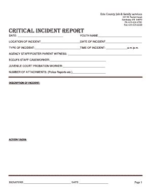 Fillable Online CRITICAL INCIDENT REPORT - Erie County Children ...