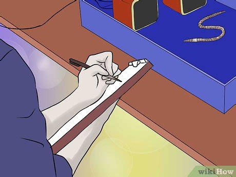 How to Make Experiments 的图像结果