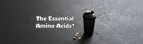 Are You Missing Out on Muscle Gains by Neglecting These Essential Amin ...