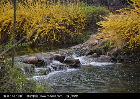 小河流水和迎春花高清图片下载_红动中国