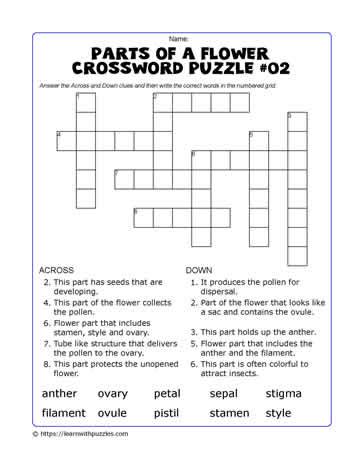 A Flower Part Crossword Clue | Best Flower Site