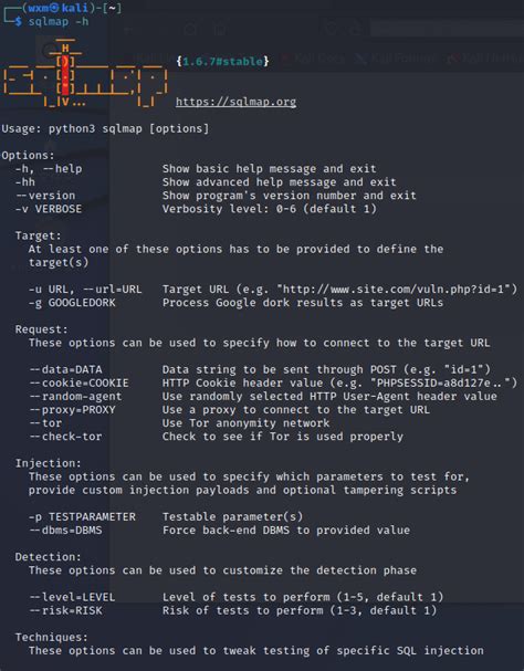 Sqlmap Tutorial Basics 的图像结果