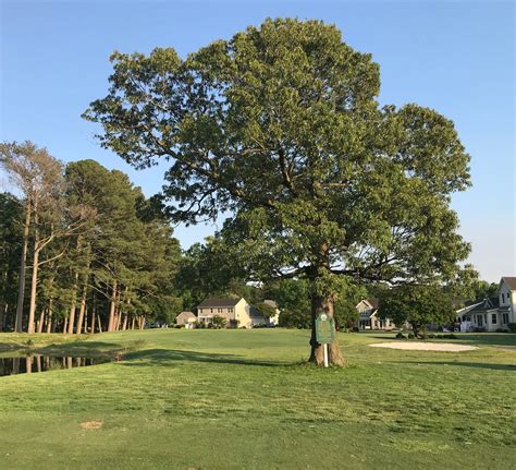 Delaware public golf courses: Where to tee it up in the First State