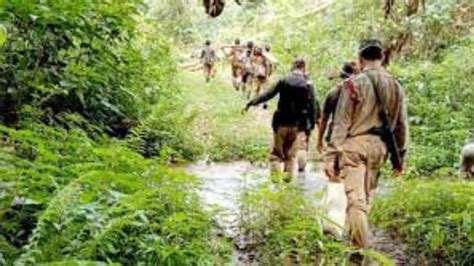 Assam: Timber 'smuggler' injured in gunfight in Dehing-Patkai National ...