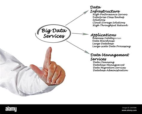 Big Data Services 的图像结果