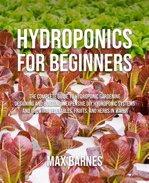 Basic Hydroponics for Beginners 的图像结果