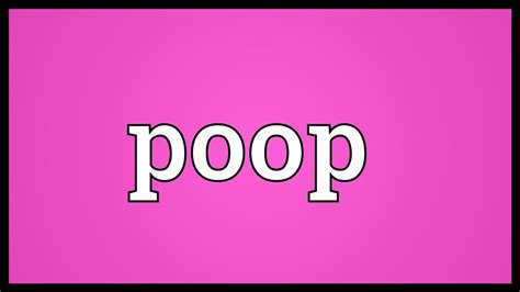 Image result for Poop Cat Exploding