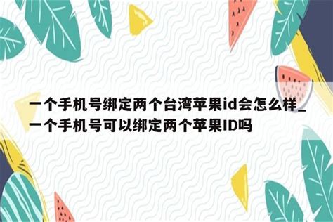 一个手机号绑定两个台湾苹果id会怎么样_一个手机号可以绑定两个苹果ID吗 - 台湾苹果ID - APPid共享网